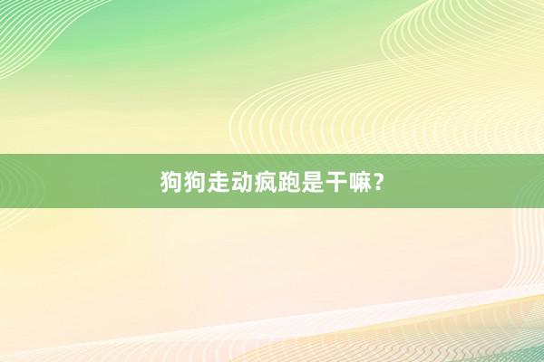 狗狗走动疯跑是干嘛？