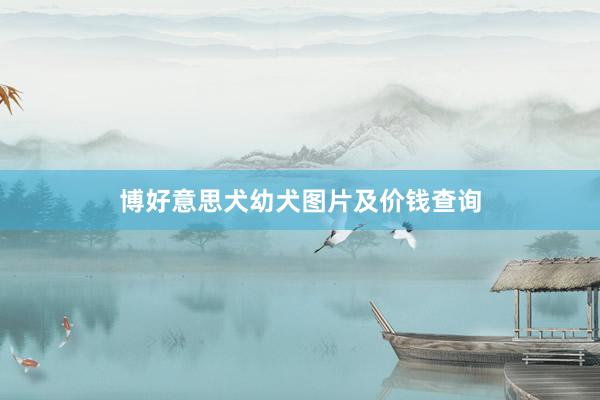 博好意思犬幼犬图片及价钱查询